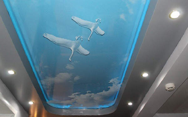 3D  рисунок на натяжных потолках с подсветкой