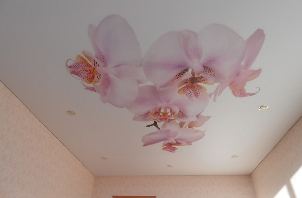 Натяжной потолок с фотопечатью в квартире